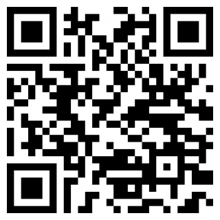 丸子壁纸控安卓app下载安装