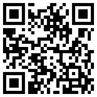 自定义在线免费版苹果版