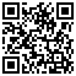 坨子大队2025最新版本安卓版