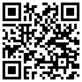 皮皮手机壁纸app