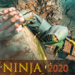 忍者武士刺客猎人2020免费版