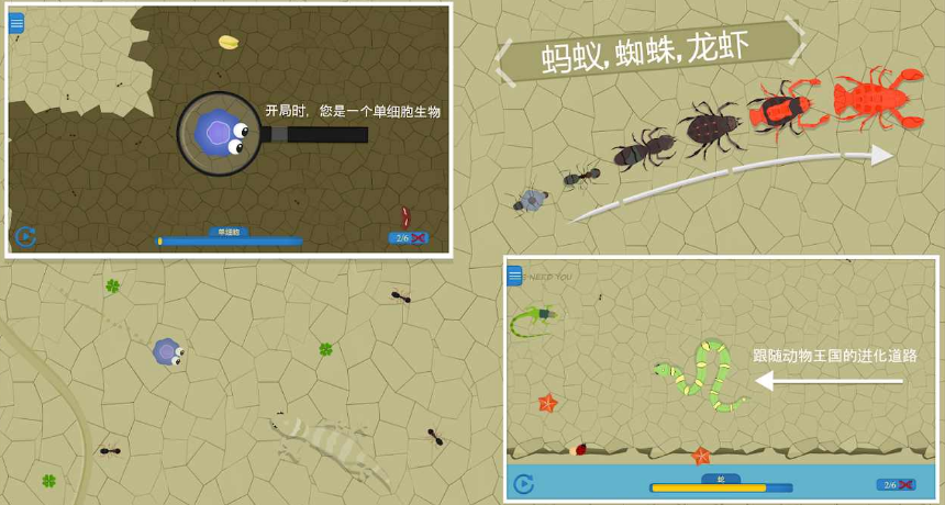 动物进化免费版最新汉化版