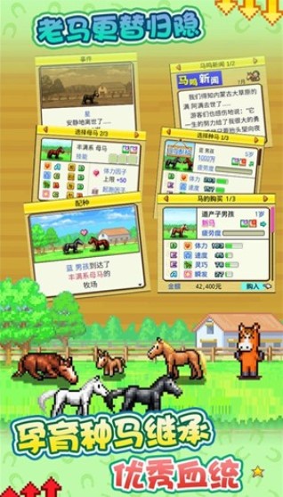 顶级跑马牧场免费版
