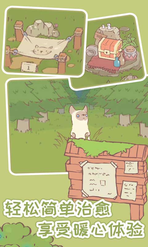 猫汤ios版手机免费下载