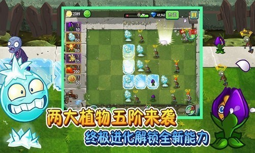 植物大战僵尸2下载破解版免费版