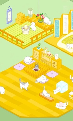 猫咪很可爱最新中文版