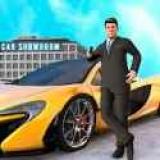 二手车经销商安卓手机版