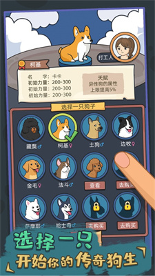 狗生模拟器手机版下载