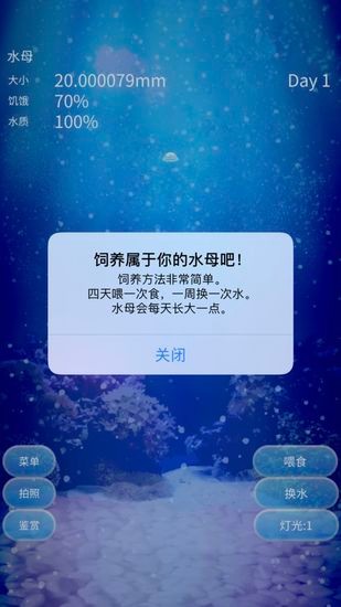 养育水母的治愈游戏中文版