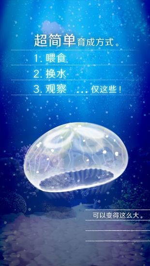 养育水母的治愈游戏最新版