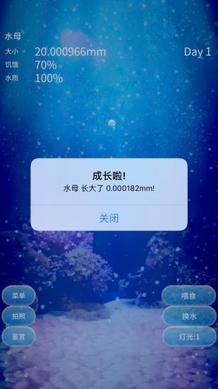 养育水母的治愈游戏中文版