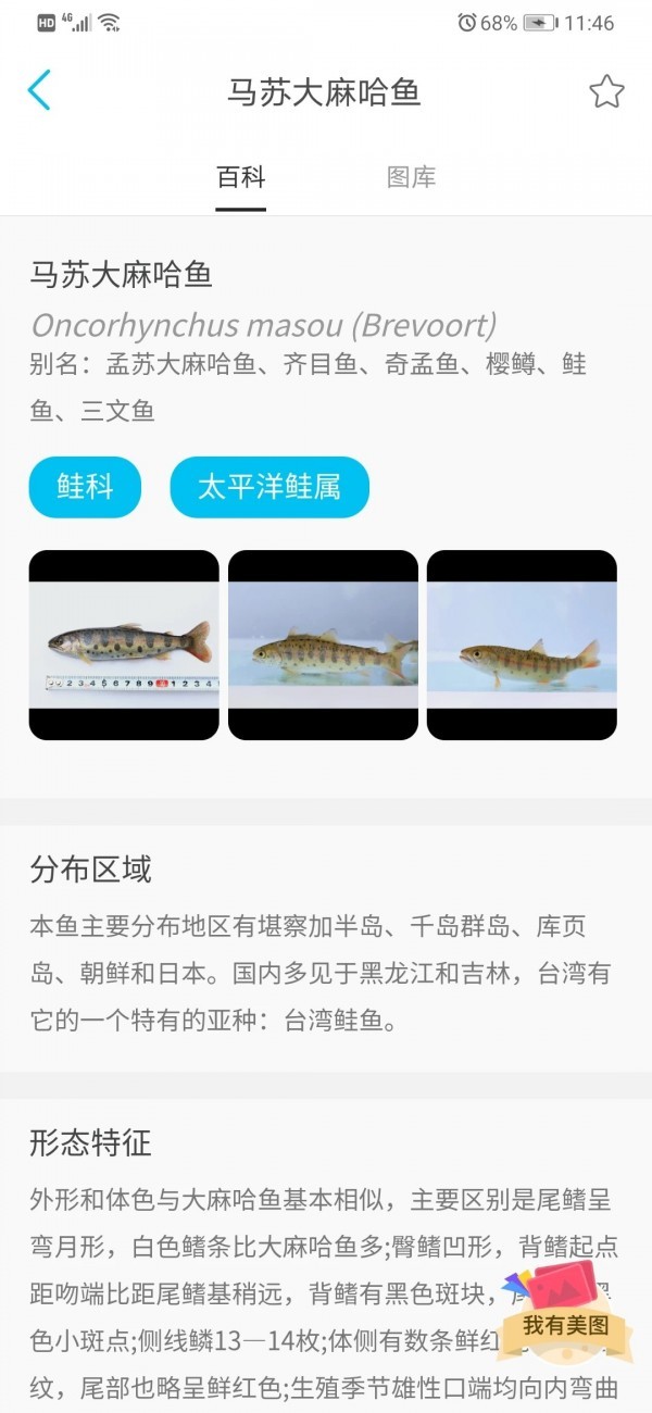 看鱼拍照识鱼最新版下载