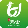 衎鸡会最新版最新版本下载