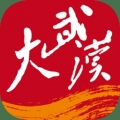 大武汉安卓最新下载安装