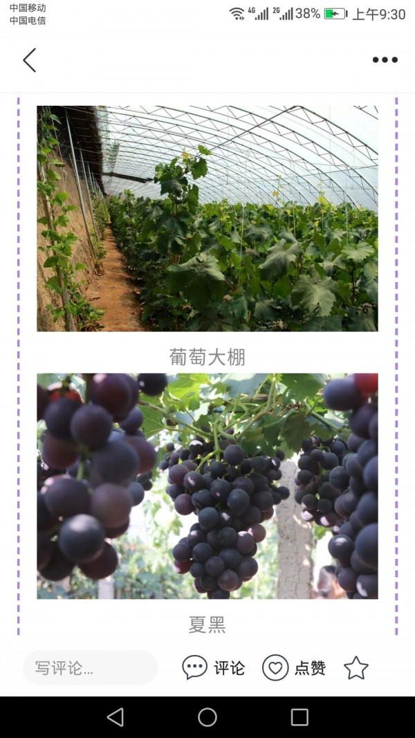 冀云怀来安卓版下载安装