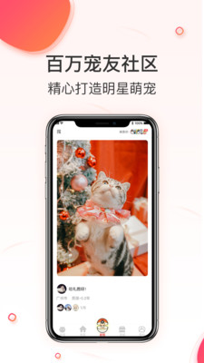相宠最新2022安卓版