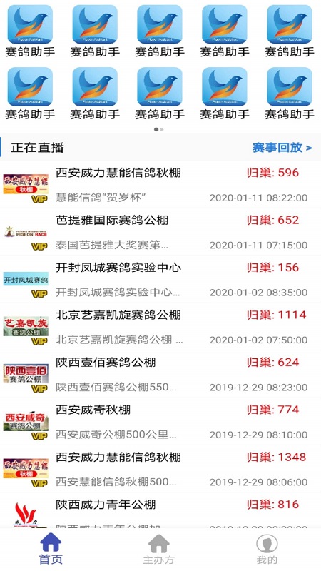 赛鸽助手新版安卓下载