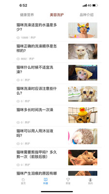 宁好猫圈社交2022最新版本安卓版