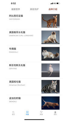 宁好猫圈社交2022最新版本安卓版