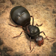 小小蚁国真实蚂蚁世界游戏下载免费安装