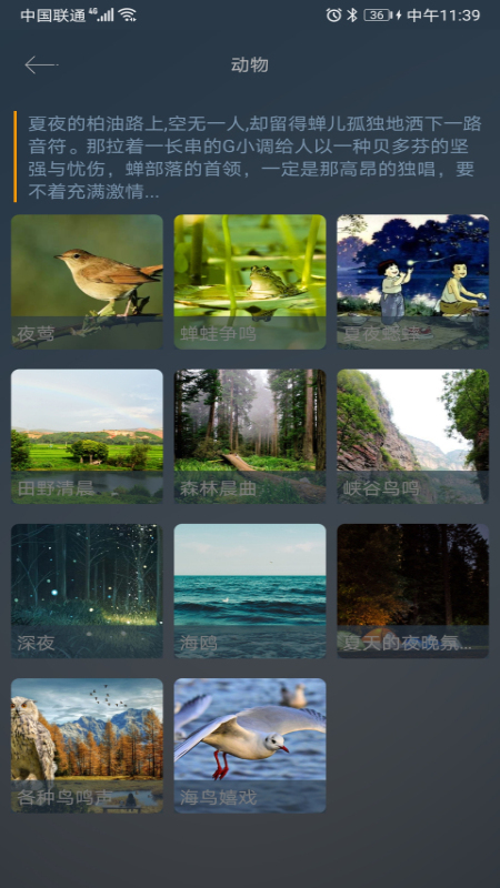 睡眠小镇安卓下载安装