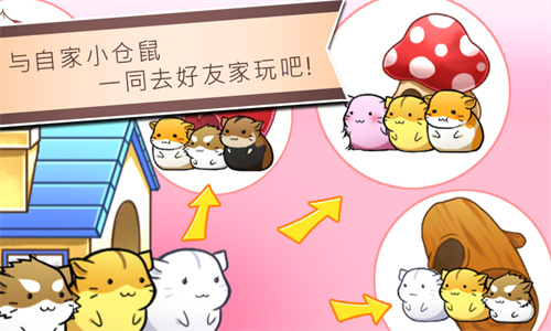 仓鼠的日常免费下载最新版