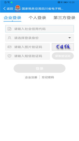 四川电子税务局网上申报系统