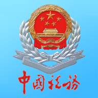 甘肃电子税务局app官网
