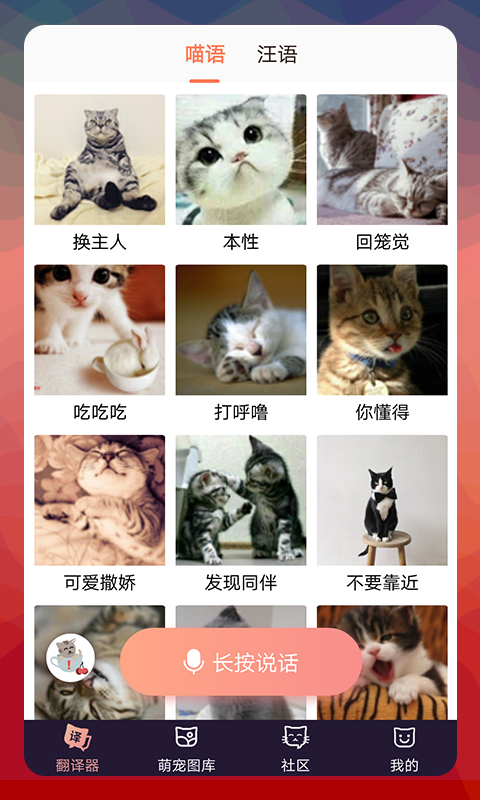 猫语翻译器中文版2023安卓版