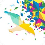 一个奇鸽2023下载安卓版