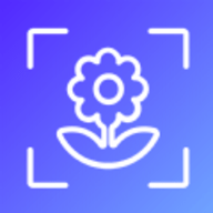 识物君app