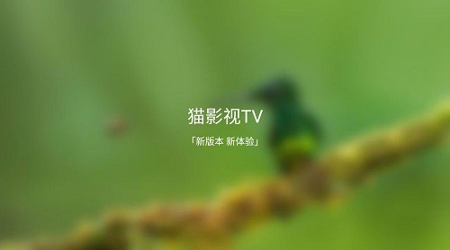 猫影视tv全新版本