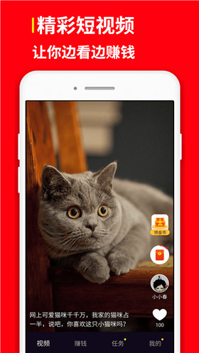 红包视频APP