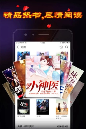 乡村小说app