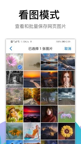 alook浏览器去广告版
