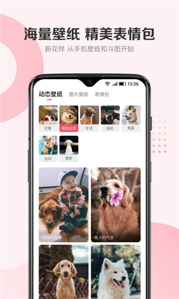 68宠物app下载官方下载