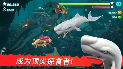 饥饿鲨进化手游下载2023最新版