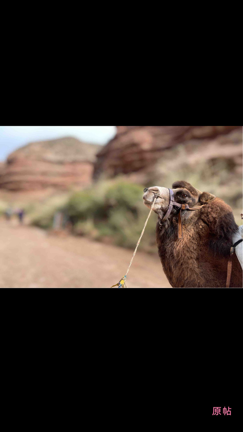 人间花絮2023下载安装