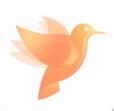 追剧鸟安卓app