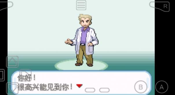 口袋妖怪圣光白汉化手机版