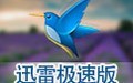 迅雷极速版app下载