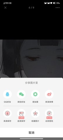 堆糖无限制下载版