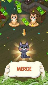 猫咪家族中文免费版