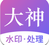 大神水印app安卓版最新