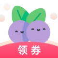 蓝莓日记app下载安装安卓版
