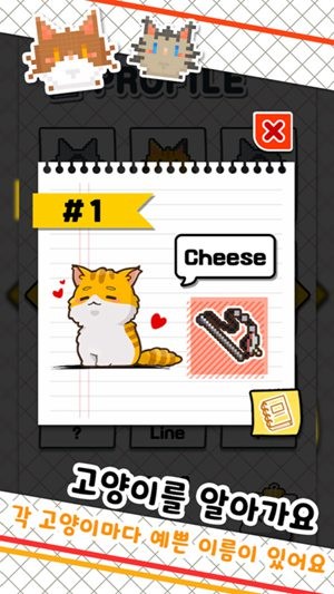 鱼店猫老板最新版汉化版