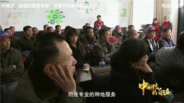 秒看电视tv版