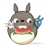 龙猫追剧app下载2023