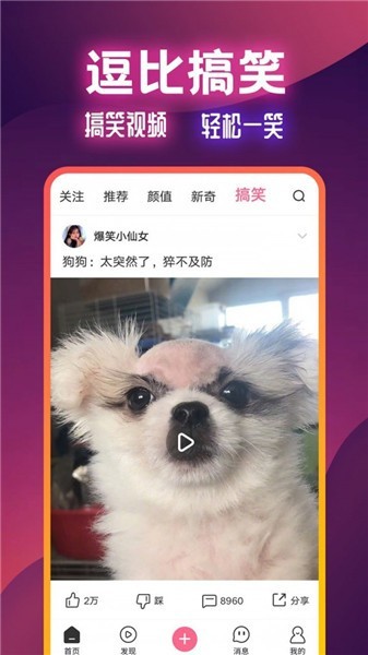 扯淡联盟app