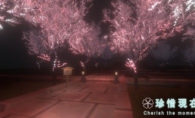 珍惜现在安卓版